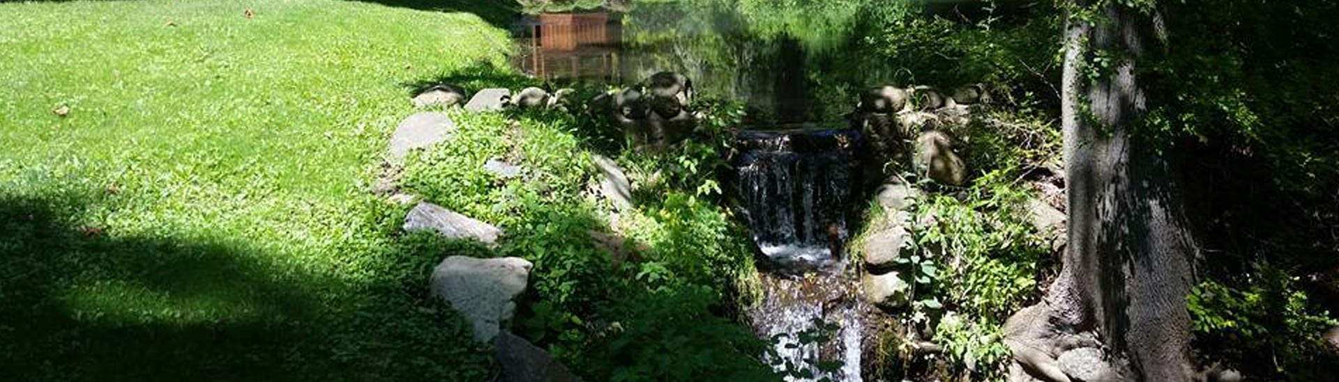 Pond Maintenance & Pond Cleaning Services