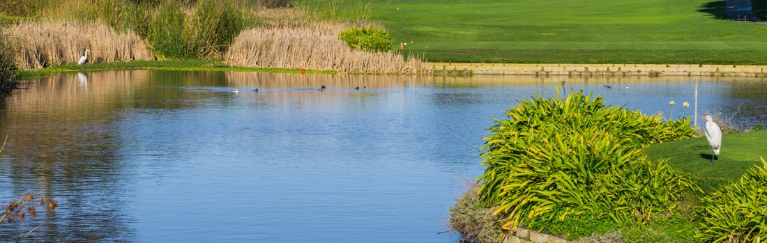 Pond Maintenance & Pond Cleaning Services