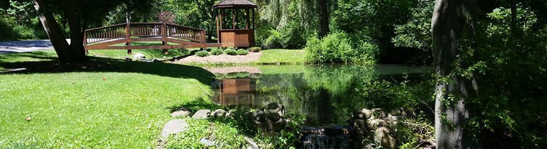 Pond Cleaning Services