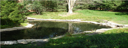 After pond cleaning, we see the retention pond restored to it's natural beauty