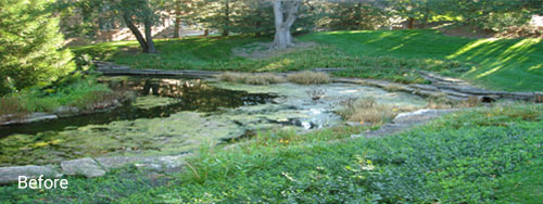 Before pond cleaning, we see a shallow, low quality retention pond