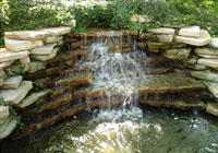 Pond Cleaning Services